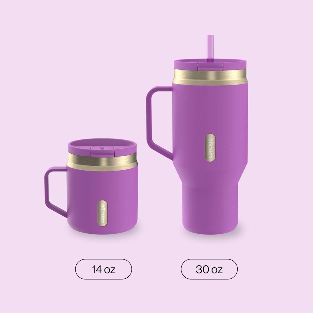30 oz SnapSeal™ Tumbler (w/ Straw & Handle) - Galactic Champagne